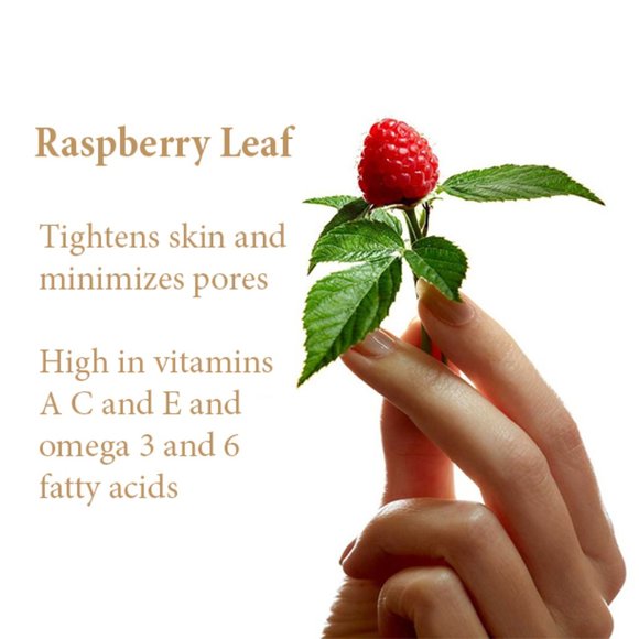 Moisture Bundle Moisturizer Face Hands and Body